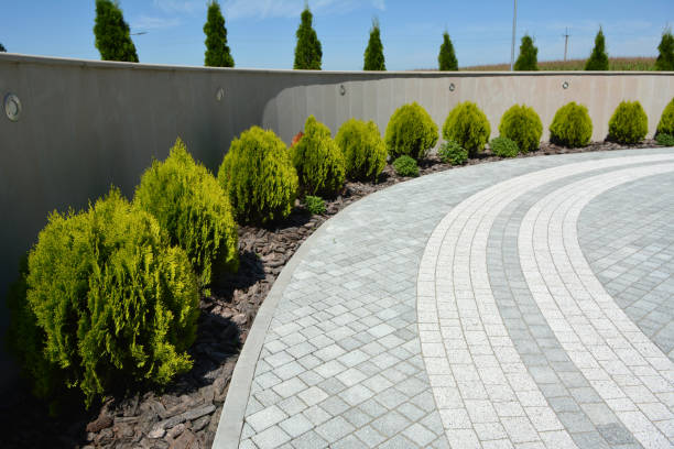 Best Driveway Paving Contractor  in Cranford, NJ